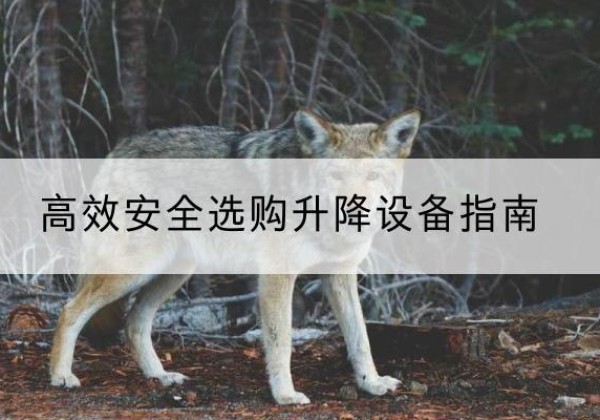 上栗升降货梯厂家推荐-*安全选购升降设备指南