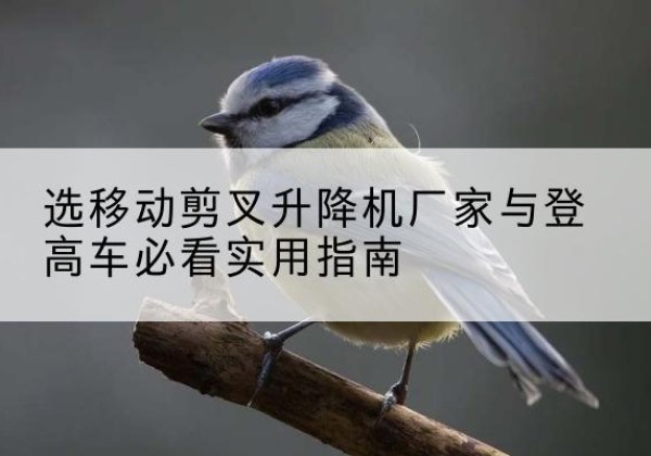 上栗电动升降机厂家-选移动剪叉升降机厂家与登高车必看实用指南