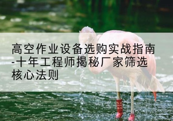 上栗剪叉式升降机厂家-高空作业设备选购实战指南-十年工程师揭秘厂家筛选核心法则